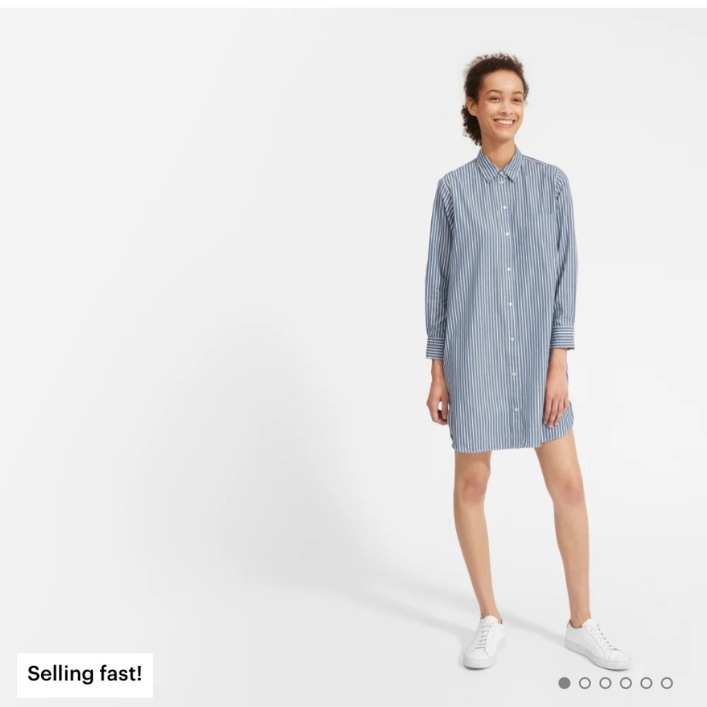 Everlane Cotton Shirt Dress